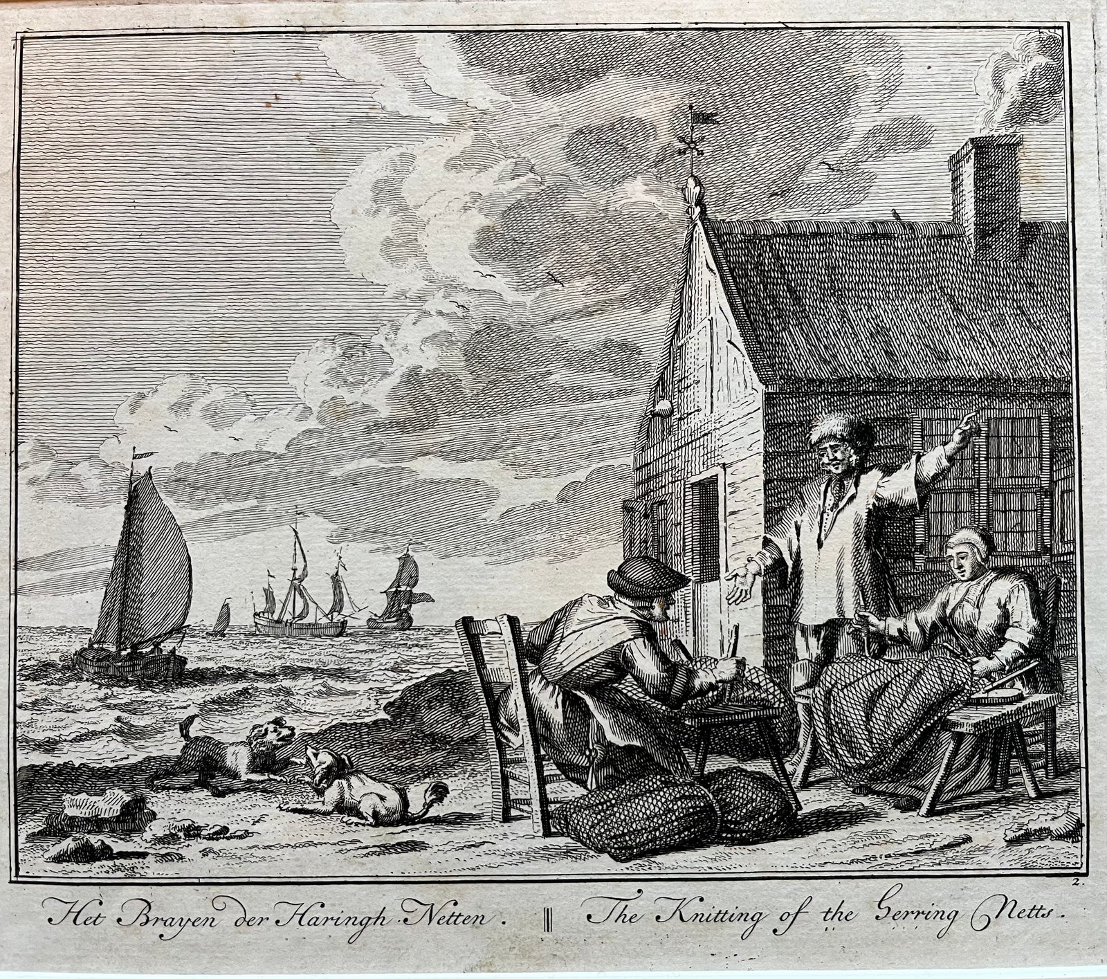 Dutch fishing herring