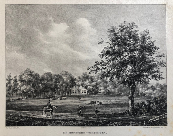 old print, antique print, oude prent, antieke prent, litho, lithograph, lutgers, haarlem, kennemerland, vogelenzang, heemstedee, aerdenhout, woestduin, hofstede, buitenplaats, landgoed, manpad, leidsevaart, 