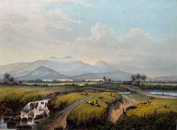 View of Java